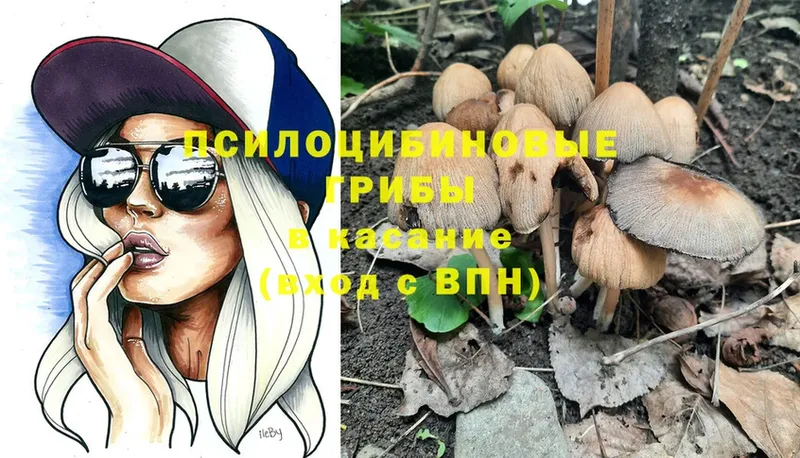 продажа наркотиков  Воскресенск  Галлюциногенные грибы Psilocybe 